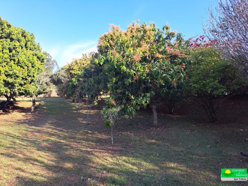 LINDA ÁREA RURAL ABAIXO DO MERCADO