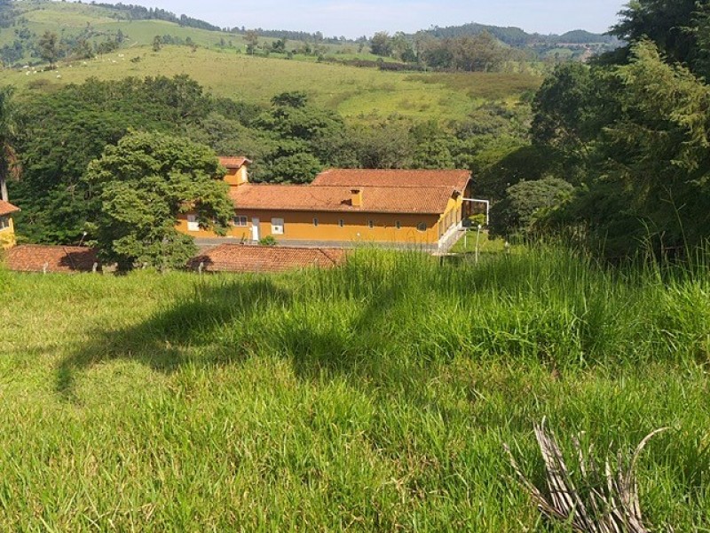 FAZENDA AMPARO