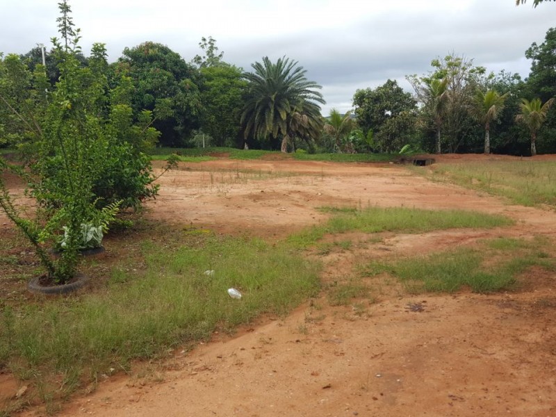 VENDIDO VENDIDO 