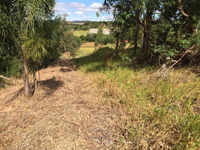 TERRA NUA A MELHOR LOCALIZAÇÃO