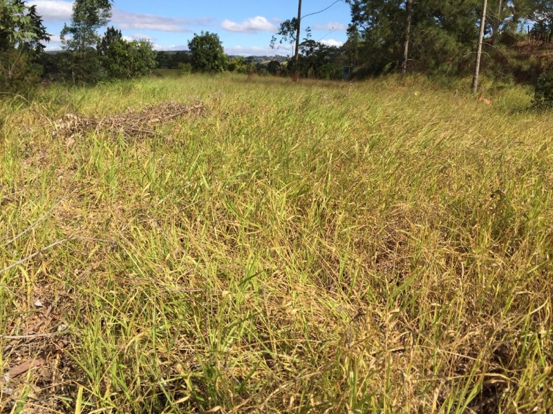 TERRA NUA A MELHOR LOCALIZAÇÃO