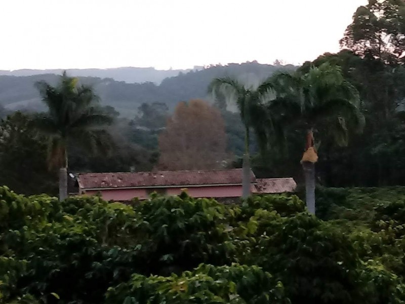RETIRADO DE VENDA