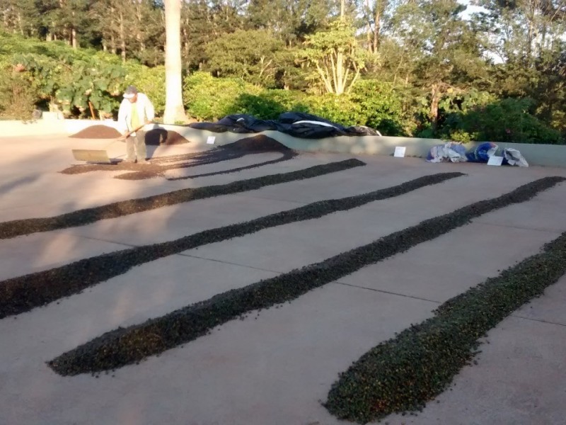 RETIRADO DE VENDA