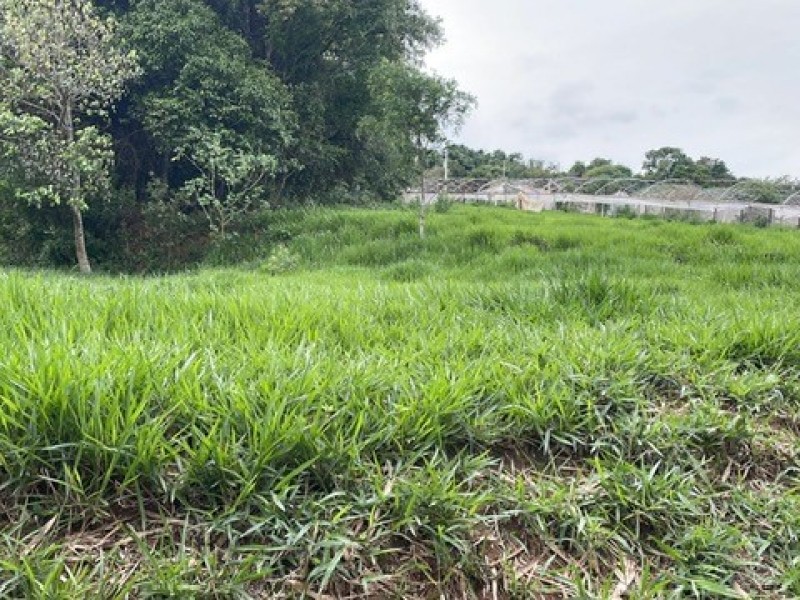 SITIO ESTUFA