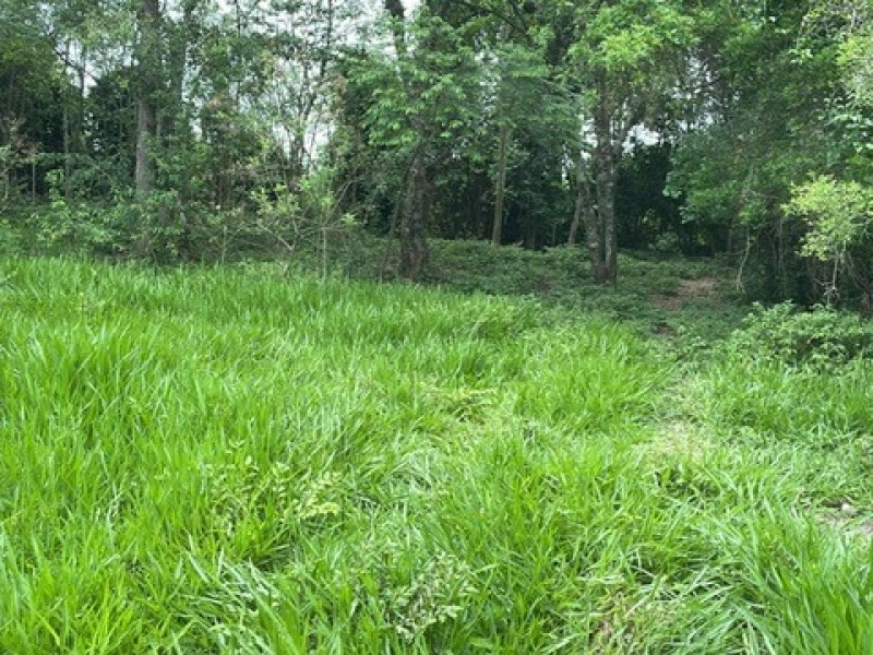 SITIO ESTUFA