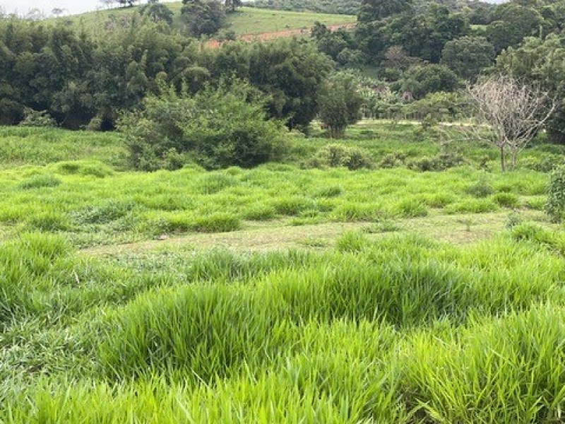 SITIO ESTUFA
