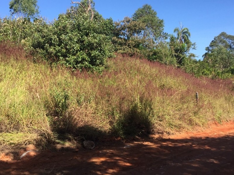 ÁREA NUA + BOA TOPOGRAFIA