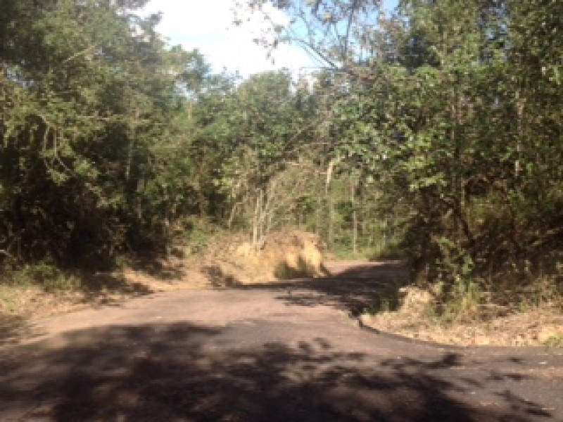 ÁREA RURAL + 3 MATRÍCULAS 