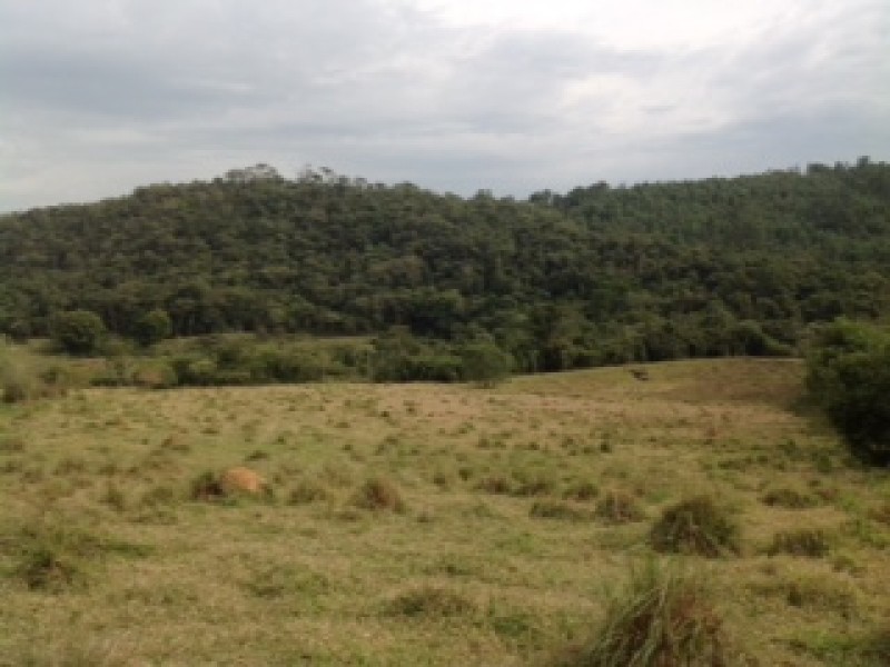 ÁREA RURAL + 3 MATRÍCULAS 