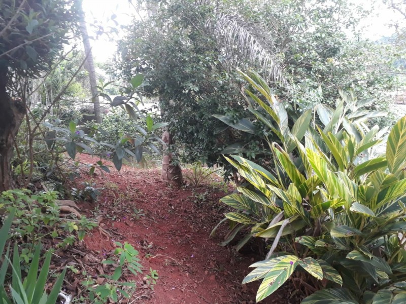 CHACARÁ DUAS CASAS PISCINA