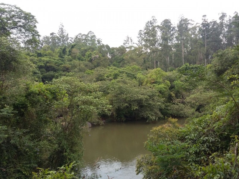 ÁREA RURAL MARGEIA JAGUARI