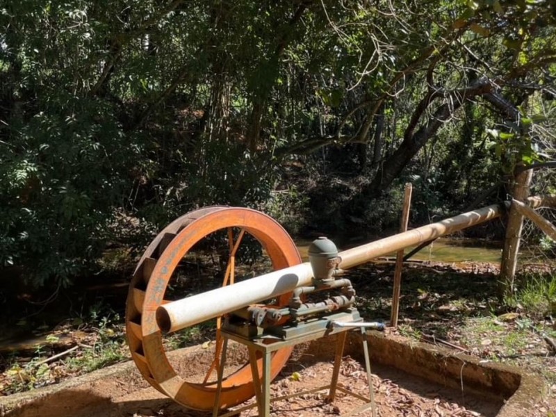 ÁREA DAS PALMEIRAS IMPERIAIS
