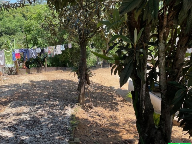 CHACARÁ NA CIDADE 