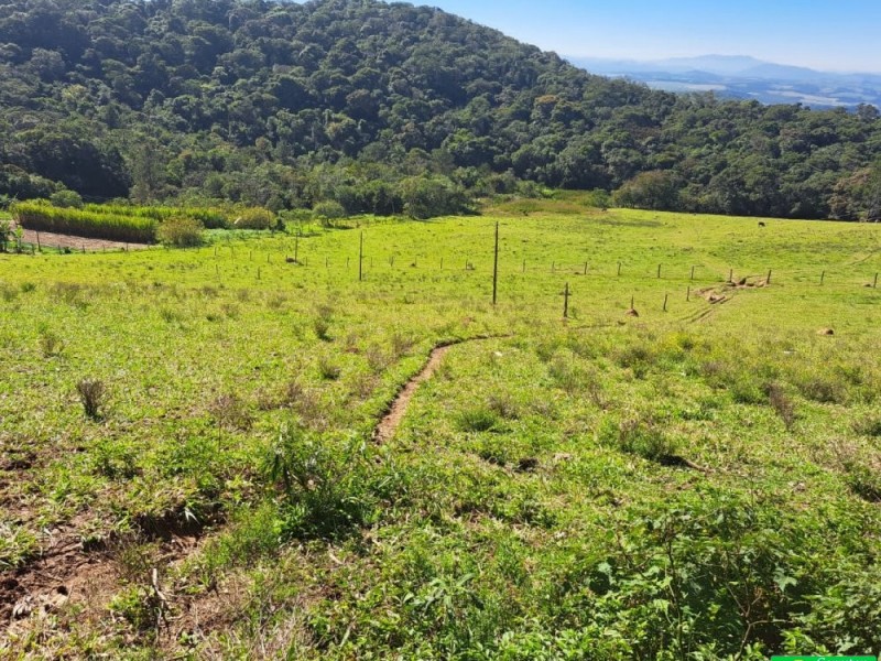 SITIO PICO ALTO