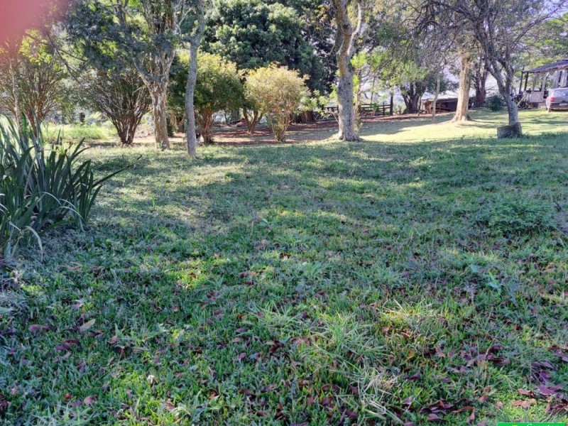 SITIO PICO ALTO