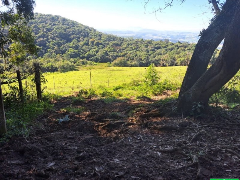 SITIO PICO ALTO