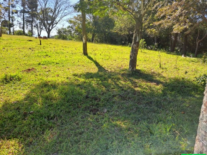 SITIO PICO ALTO