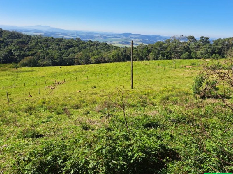 SITIO PICO ALTO
