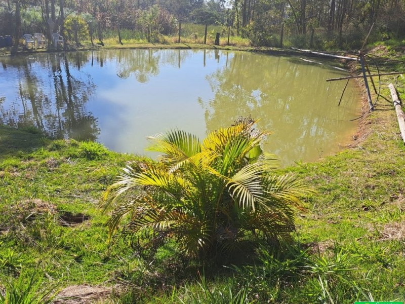 SITIO RICO EM ÁGUA
