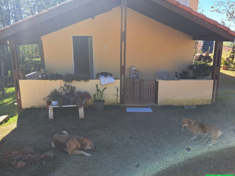 SITIO RICO EM ÁGUA