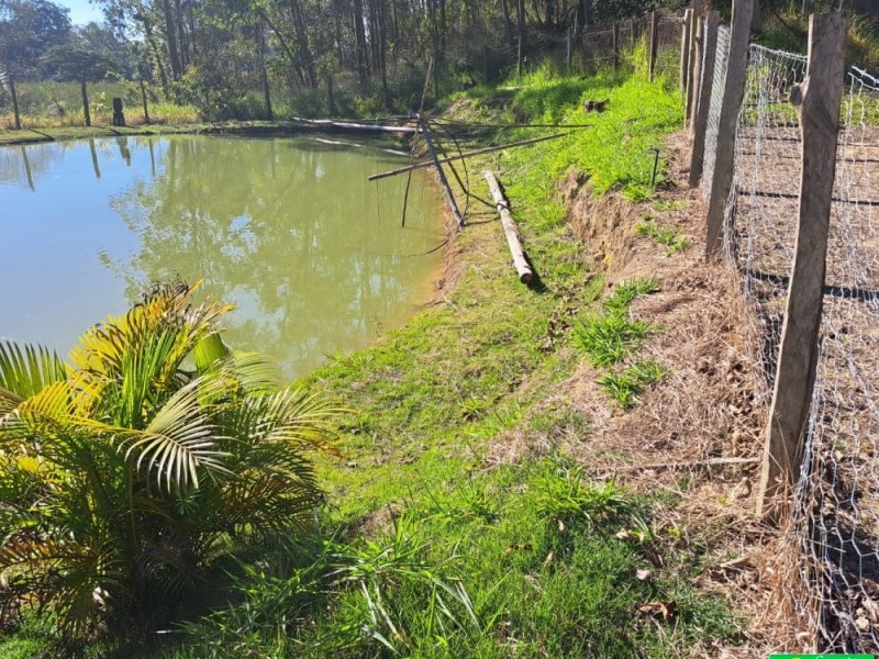 SITIO RICO EM ÁGUA