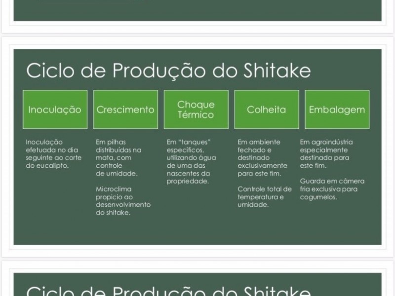 SITIO IGARATÁ