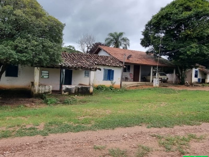 FAZENDA