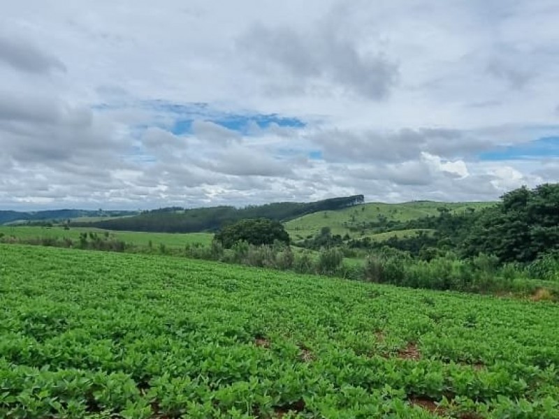 FAZENDA