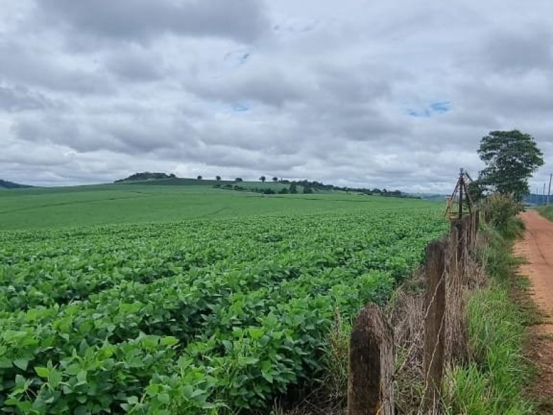 FAZENDA