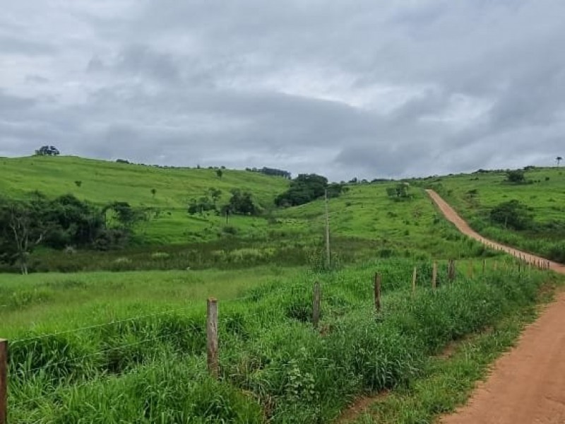 FAZENDA