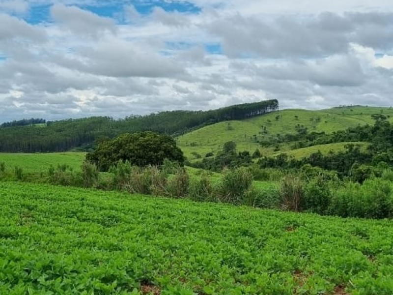 FAZENDA