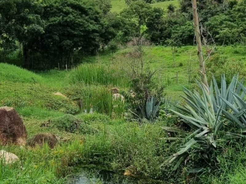 FAZENDA