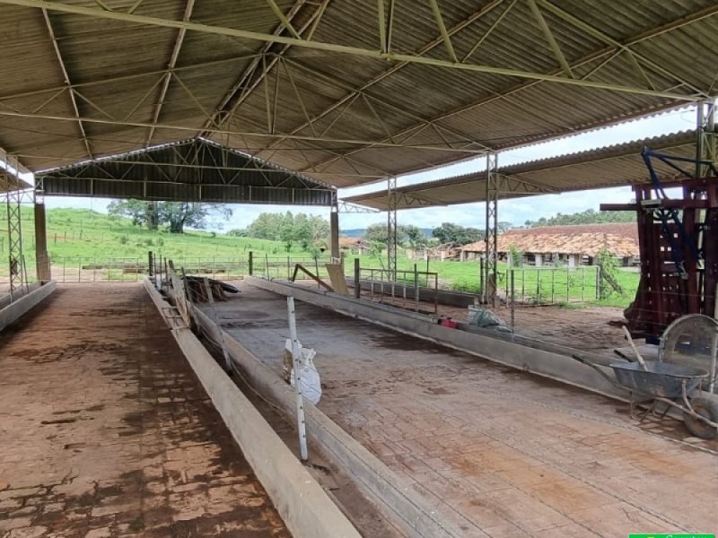 FAZENDA