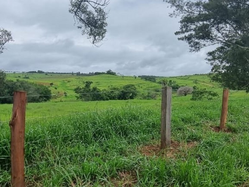 FAZENDA