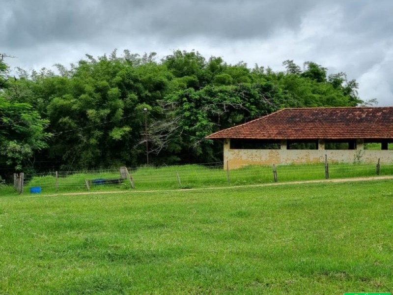 FAZENDA