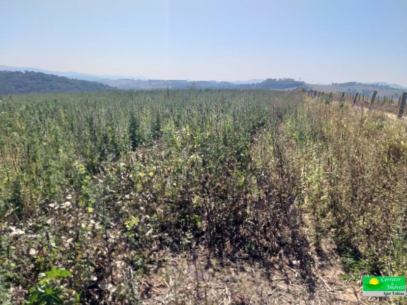 ÁREA RURAL COM REPRESA
