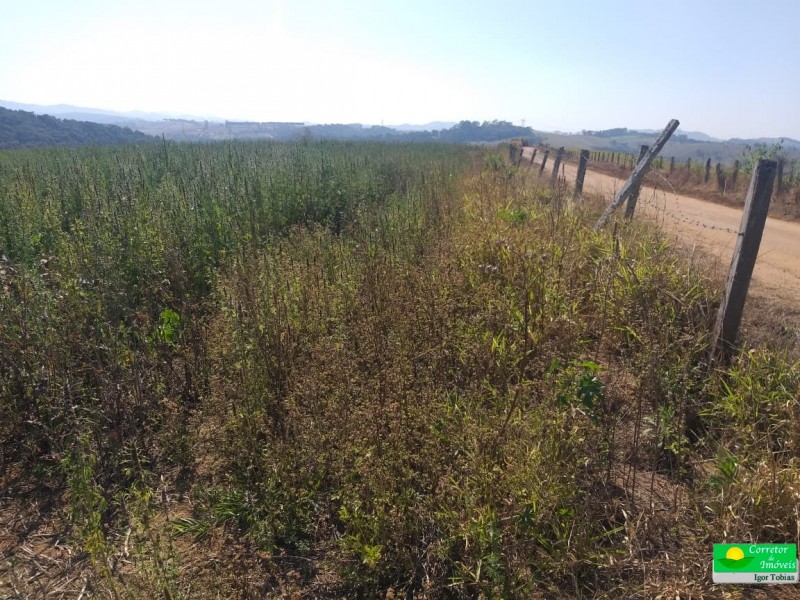 ÁREA RURAL COM REPRESA
