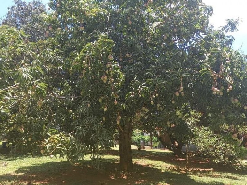 LINDA CHACARÁ ITATIBA