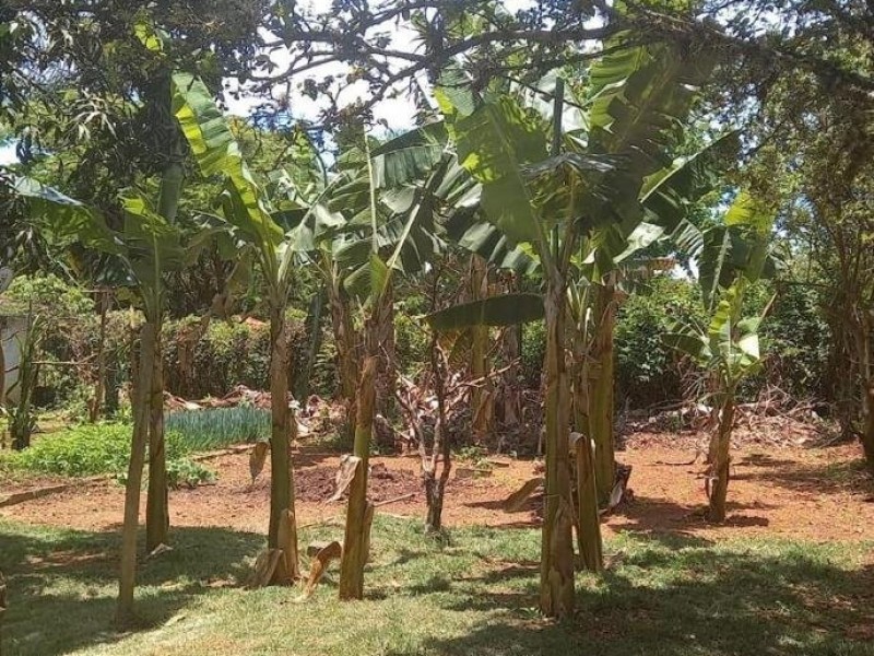 LINDA CHACARÁ ITATIBA