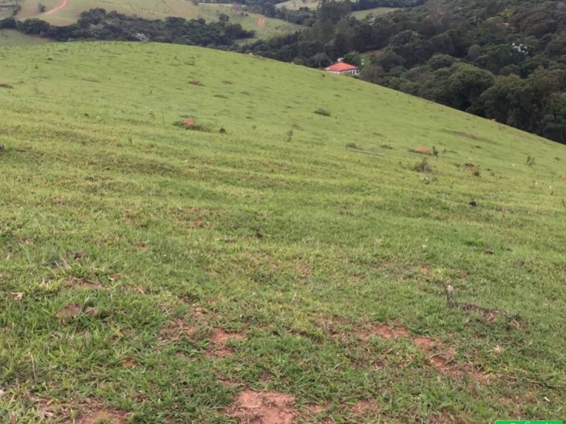 ÁREA P/ LOTEAMENTO VENDIDO VENDIDO