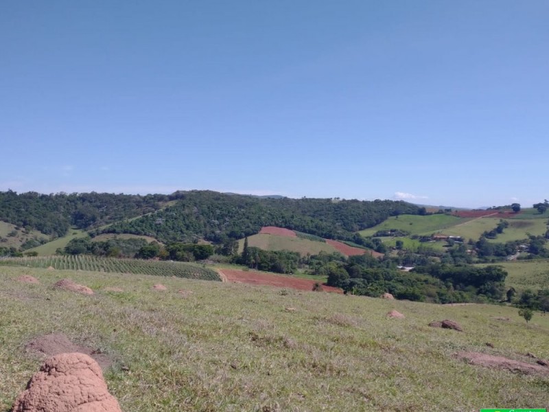 ÁREA P/ LOTEAMENTO ITATIBA