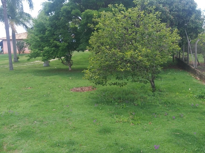 ÁREA RURAL AMPARO