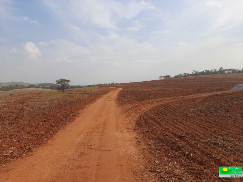 ÁREA P/ PRODUÇÃO