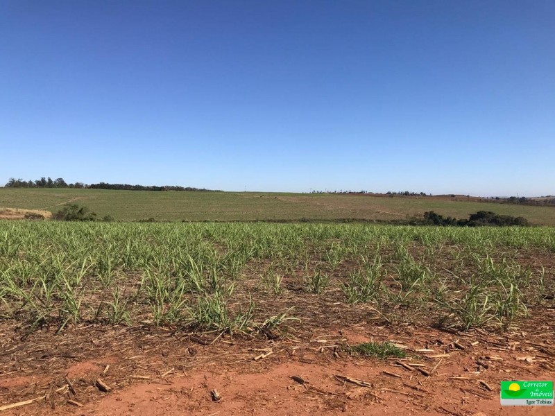 ÁREA P/ PRODUÇÃO