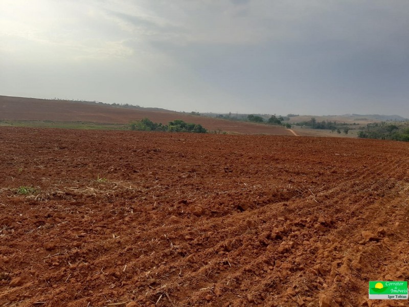 ÁREA P/ PRODUÇÃO