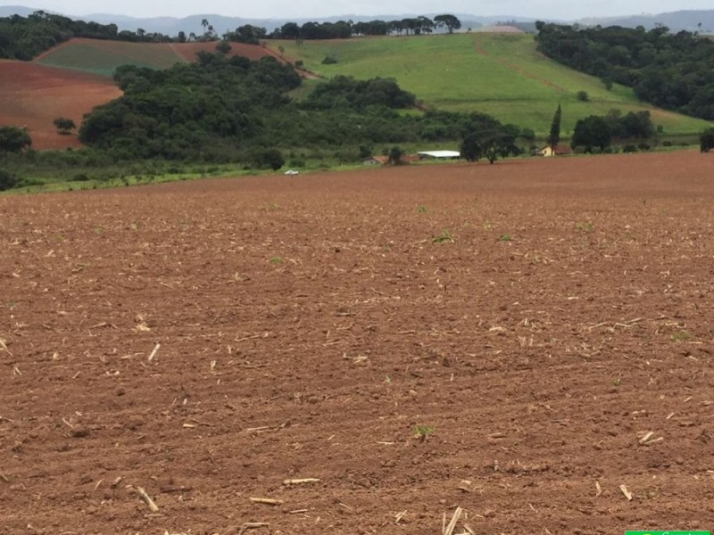 ÁREA P/ PLANTIO