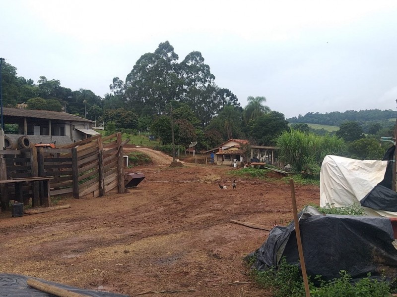 ÁREA COM PRODUÇÃO DE LEITE