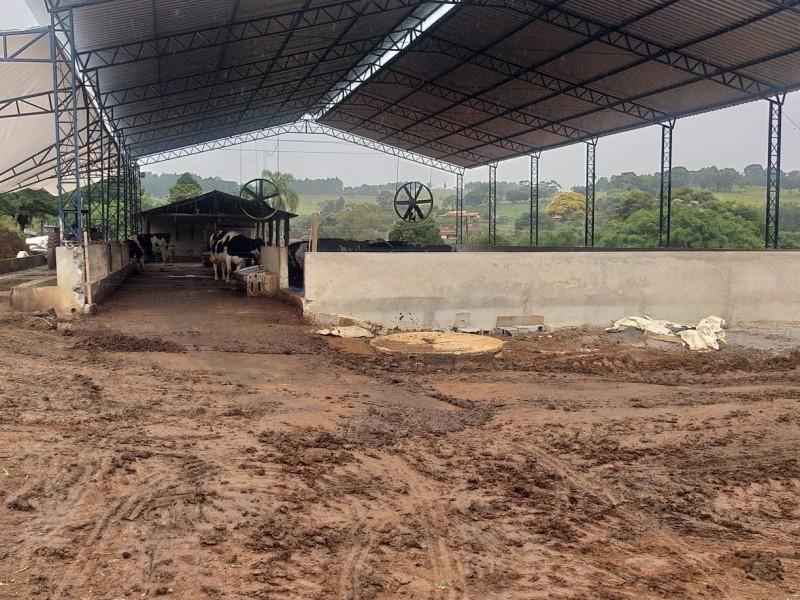 ÁREA COM PRODUÇÃO DE LEITE