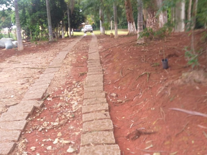 ÁREA COM PRODUÇÃO DE LEITE