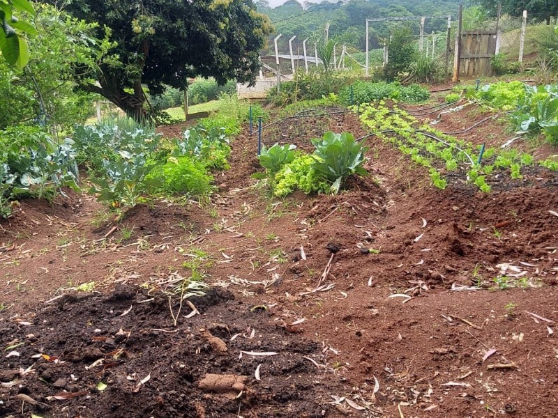 ÁREA COM PRODUÇÃO DE LEITE
